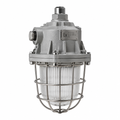 Explosion-Proof Light Fitting