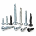 Self-Tapping Screw Assortment