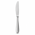 Stainless steel dinner knife