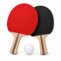 Table tennis set